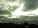 polosept_132