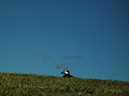 12-Over_The_Hill