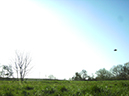 Variation_2_right_over_field_long_distance