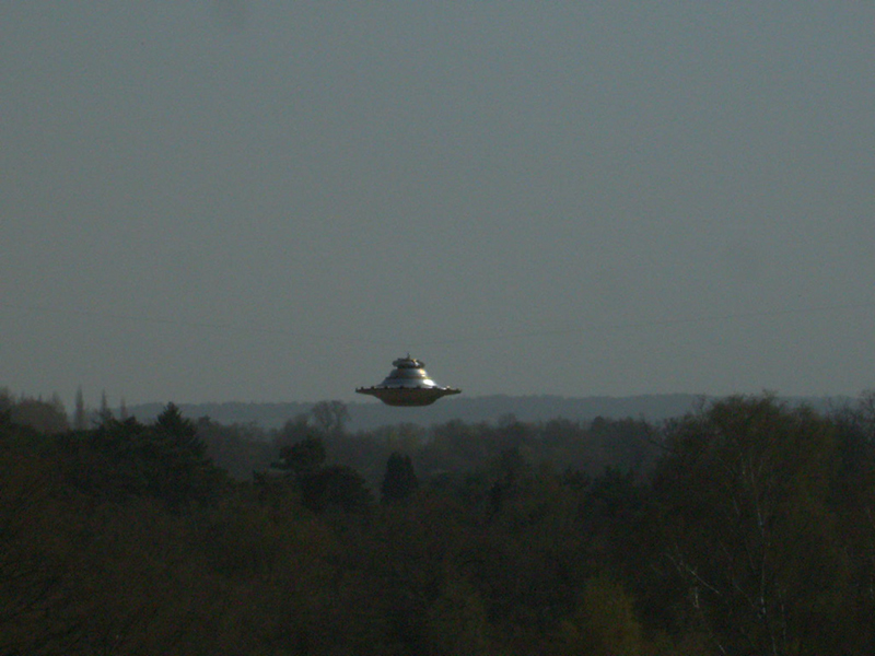 Oxshott_Afternoon_143
