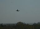 Oxshott_Afternoon_142