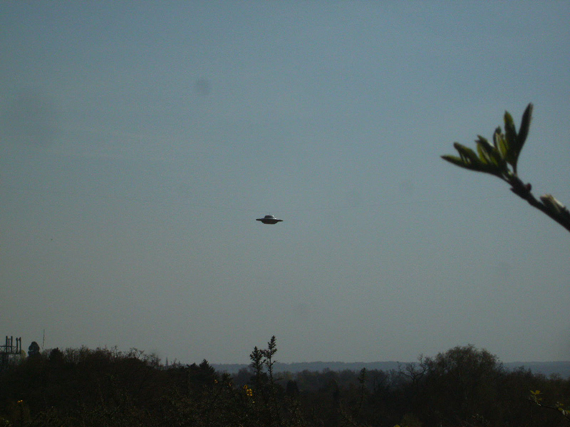 Oxshott_Afternoon_091